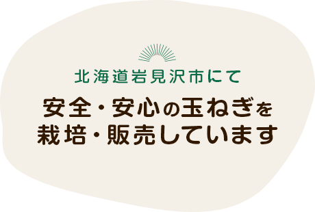 北海道岩見沢市にて安全・安心の玉ねぎを栽培・販売しています